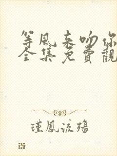 等风来吻你短剧全集免费观看封面