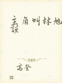 主角叫林旭的小说