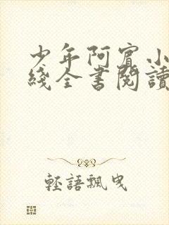 少年阿宾小说在线全书阅读无弹窗免费