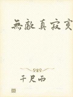 无敌真寂寞听书