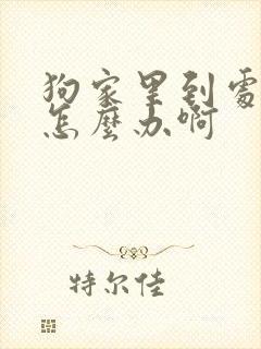 狗家里到处乱尿怎么办啊封面