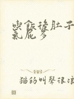 吃饭后肚子有胀气屁多