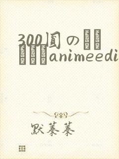 300圆のおつきあいanimeedition