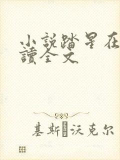 小说踏星在线阅读全文