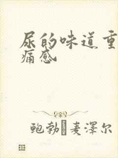 尿的味道重有刺痛感封面