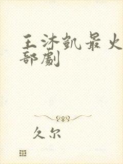 王沐凯最火的三部剧