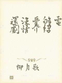 还没爱够电视剧剧情介绍封面