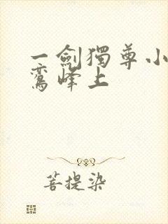 一剑独尊小说青鸾峰上