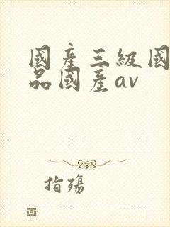 国产三级国产精品国产av