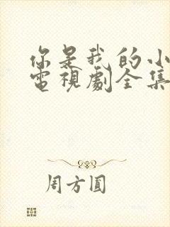 你是我的小确幸电视剧全集免费观看高清