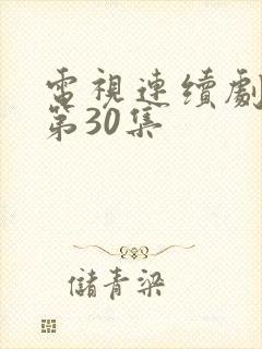 电视连续剧满秋第30集