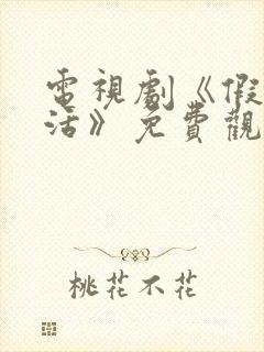 电视剧《假如生活》免费观看全集