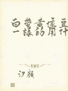 白带黄像豆腐渣一样的用什么药