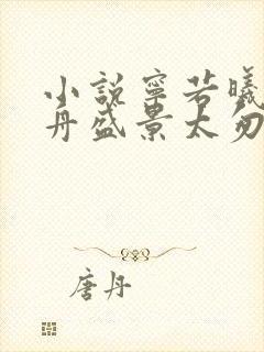 小说宁若曦沈砚舟盛景太匆匆在线阅读