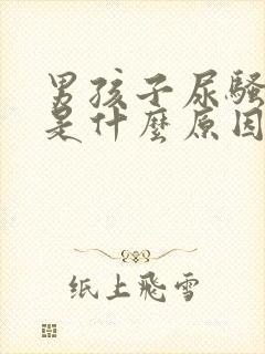 男孩子尿骚味重是什么原因