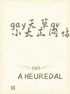 gay天草gv小太正网站封面