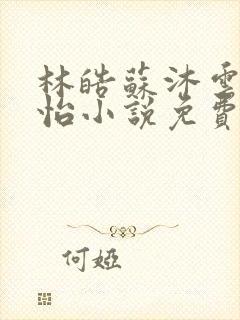 林皓苏沐云李静怡小说免费阅读