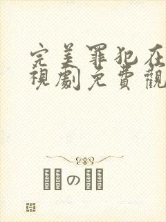 完美罪犯在线电视剧免费观看全集