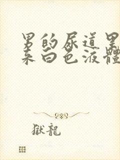 男的尿道里面出来白色液体是什么