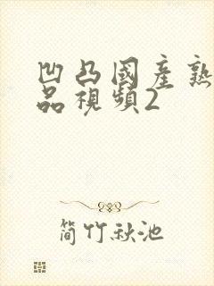 凹凸国产熟女精品视频2