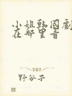 小姐韩国剧原版在哪里看