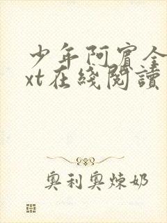 少年阿宾全文txt在线阅读