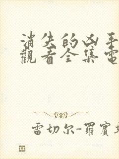 消失的凶手免费观看全集电视剧封面