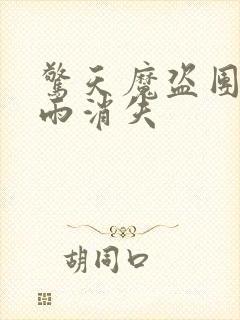 惊天魔盗团2躺雨消失