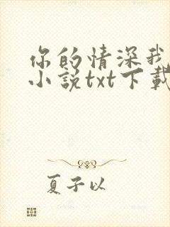 你的情深我不配小说txt下载