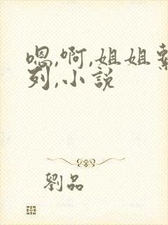 嗯,啊,姐姐系列,小说