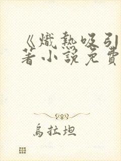 《炽热吸引》原著小说免费阅读全文封面