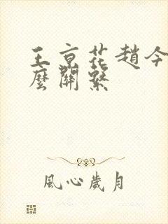 王京花赵今麦什么关系