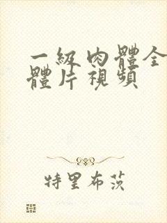 一级肉体全黄裸体片视频