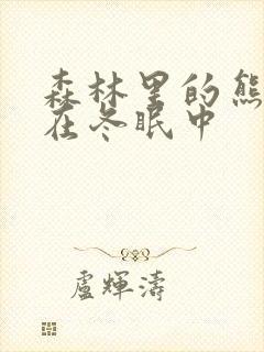 森林里的熊先生在冬眠中