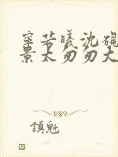 宁若曦沈砚舟盛景太匆匆大结局哪里看