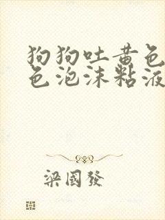 狗狗吐黄色和白色泡沫粘液是什么原因封面