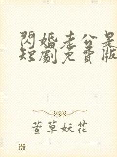 闪婚老公是豪门短剧免费版