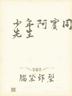 少年阿宾同人胡先生封面