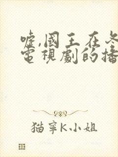 嘘,国王在冬眠电视剧的播出时间