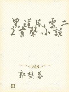 黑道风云二十年2有声小说