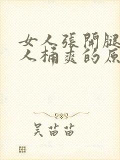 女人张开腿让男人桶爽的原文封面