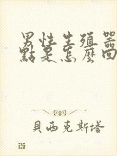 男性生殖器有红点是怎么回事