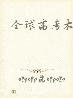 全球高考木苏里