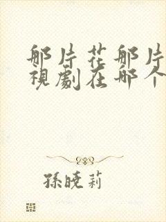 那片花那片海电视剧在哪个台播出封面