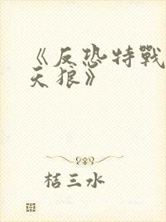 《反恐特战队之天狼》封面