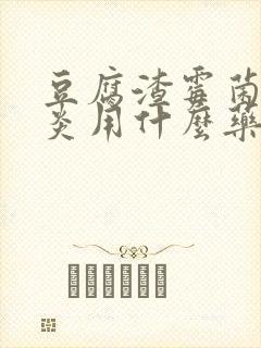 豆腐渣霉菌性阴炎用什么药好得快