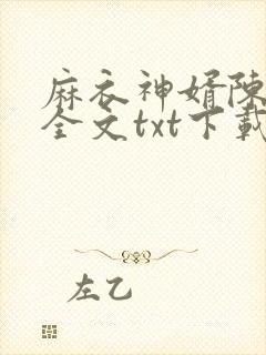 麻衣神婿陈黄皮全文txt下载