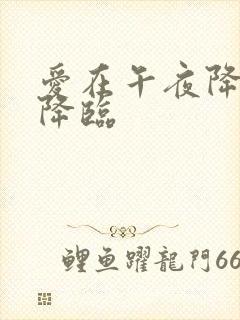 爱在午夜降临前降临