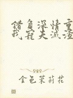 错负深情重生后我宠夫灭渣简星尘