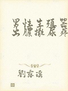 男性生殖器尿道出脓撒尿疼